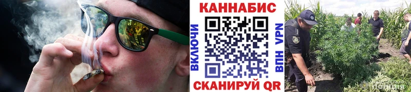 Купить закладки  Ступино  Конопля марихуана 